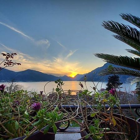 Apartment Terazza Di Ljuta Kotor Buitenkant foto