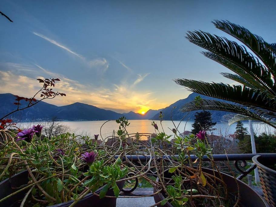 Apartment Terazza Di Ljuta Kotor Buitenkant foto