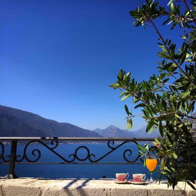 Apartment Terazza Di Ljuta Kotor Buitenkant foto