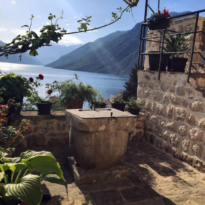Apartment Terazza Di Ljuta Kotor Buitenkant foto