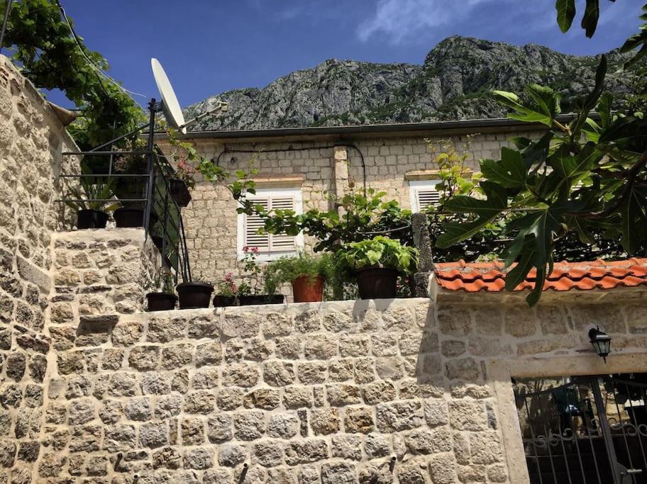 Apartment Terazza Di Ljuta Kotor Buitenkant foto