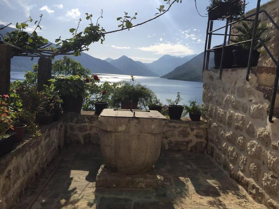 Apartment Terazza Di Ljuta Kotor Buitenkant foto