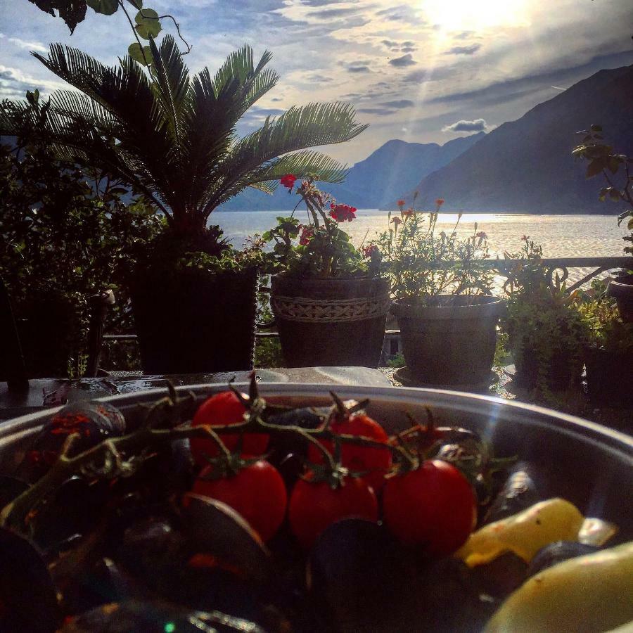 Apartment Terazza Di Ljuta Kotor Buitenkant foto